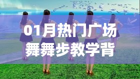 01月热门广场舞背面舞步教学详解