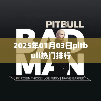 Pitbull热门排行揭晓，2025年1月3日最新动态