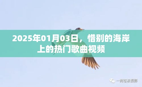 惜别的海岸热门歌曲视频回顾，2025年1月3日