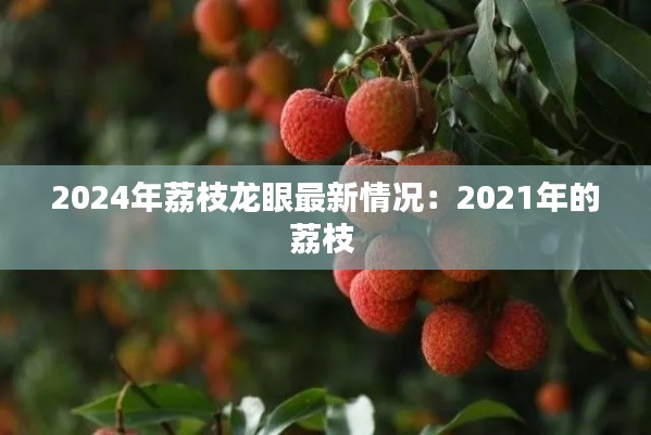 2024年荔枝龙眼最新情况：2021年的荔枝 