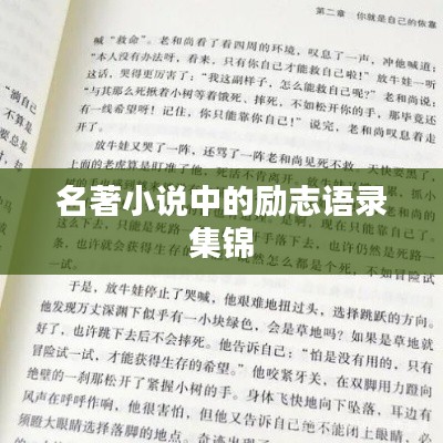 名著小说中的励志语录集锦