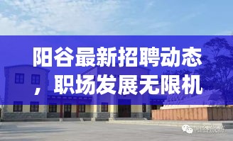 阳谷最新招聘动态，职场发展无限机遇揭秘