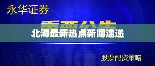 北海最新热点新闻速递