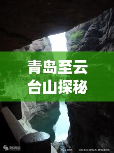 减震支架 第125页