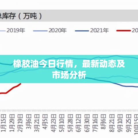 橡胶油今日行情，最新动态及市场分析