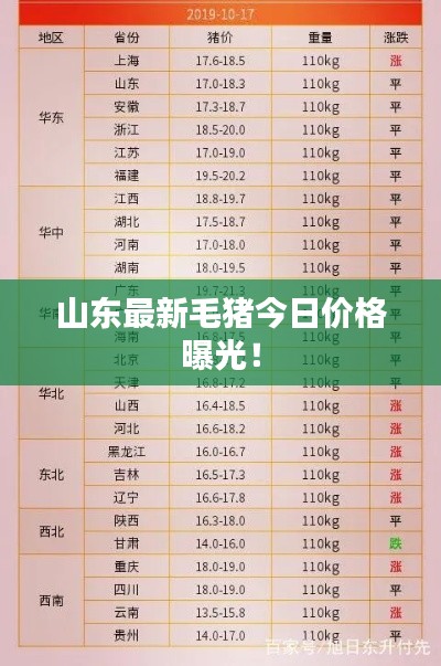 电缆支架 第129页