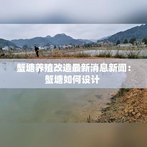 蟹塘养殖改造最新消息新闻：蟹塘如何设计 