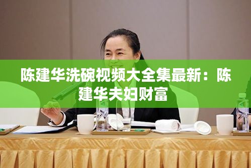 陈建华洗碗视频大全集最新：陈建华夫妇财富 