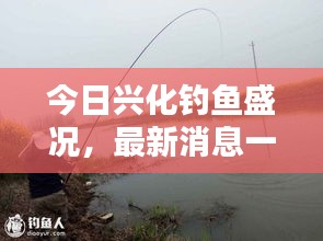 今日兴化钓鱼盛况，最新消息一网打尽