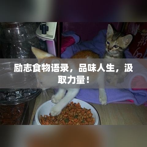 励志食物语录，品味人生，汲取力量！