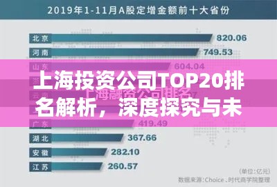 上海投资公司TOP20排名解析，深度探究与未来趋势展望