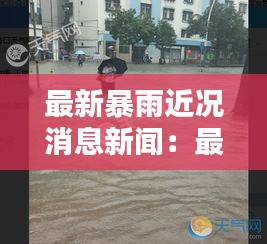 最新暴雨近况消息新闻：最近的暴雨新闻 