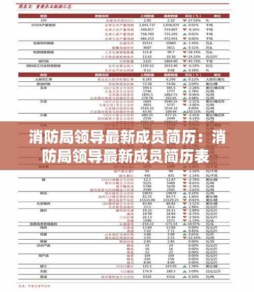 消防局领导最新成员简历：消防局领导最新成员简历表 