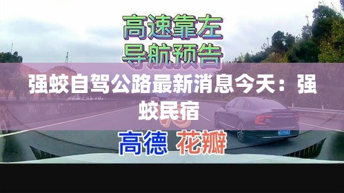 强蛟自驾公路最新消息今天：强蛟民宿 