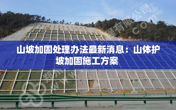 山坡加固处理办法最新消息：山体护坡加固施工方案 