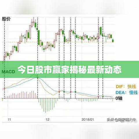 今日股市赢家揭秘最新动态