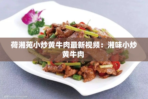 荷湘苑小炒黄牛肉最新视频：湘味小炒黄牛肉 