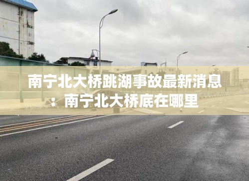 南宁北大桥跳湖事故最新消息：南宁北大桥底在哪里 