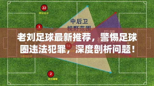 老刘足球最新推荐，警惕足球圈违法犯罪，深度剖析问题！