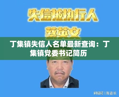 丁集镇失信人名单最新查询：丁集镇党委书记简历 