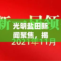 光明盐田新闻聚焦，揭示盐田区最新发展与亮点