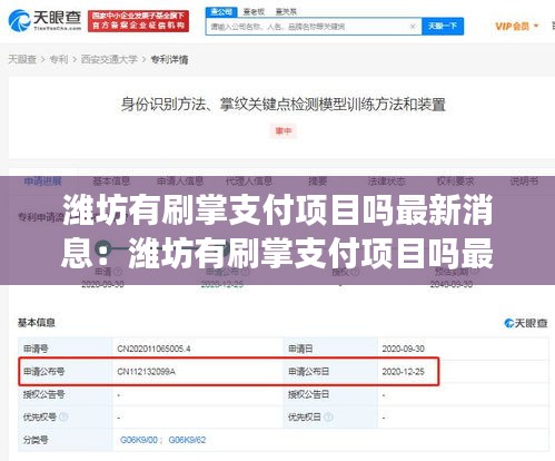 潍坊有刷掌支付项目吗最新消息：潍坊有刷掌支付项目吗最新消息查询 
