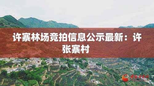 许寨林场竞拍信息公示最新：许张寨村 