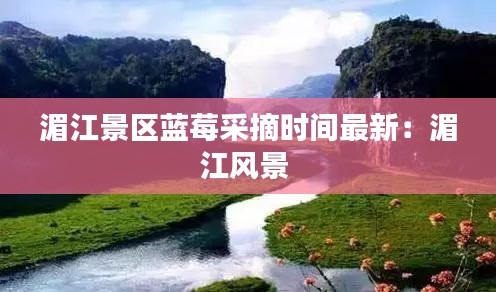 湄江景区蓝莓采摘时间最新：湄江风景 