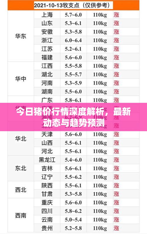 今日猪价行情深度解析，最新动态与趋势预测