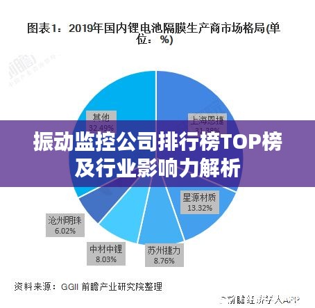 振动监控公司排行榜TOP榜及行业影响力解析