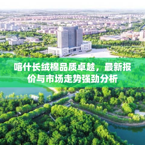 喀什长绒棉品质卓越，最新报价与市场走势强劲分析