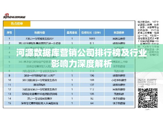 河源数据库营销公司排行榜及行业影响力深度解析