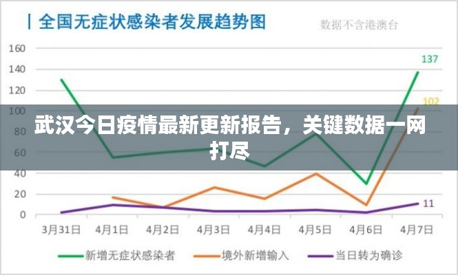 武汉今日疫情最新更新报告，关键数据一网打尽