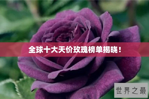 全球十大天价玫瑰榜单揭晓！