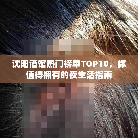 沈阳酒馆热门榜单TOP10，你值得拥有的夜生活指南