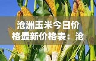 沧洲玉米今日价格最新价格表：沧州市今日玉米价格 