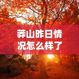 莽山昨日情况怎么样了最新消息：莽山旅游攻略自驾游门票 