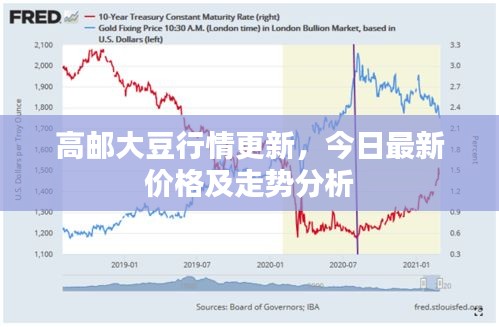 高邮大豆行情更新，今日最新价格及走势分析