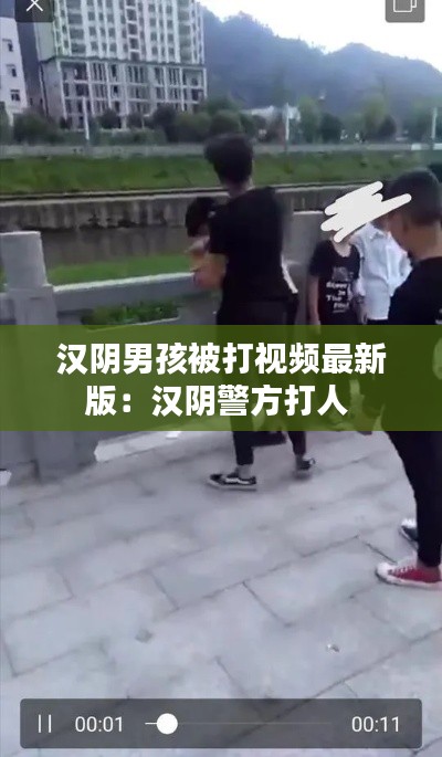 汉阴男孩被打视频最新版：汉阴警方打人 