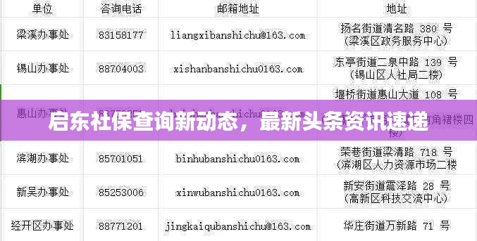 启东社保查询新动态，最新头条资讯速递