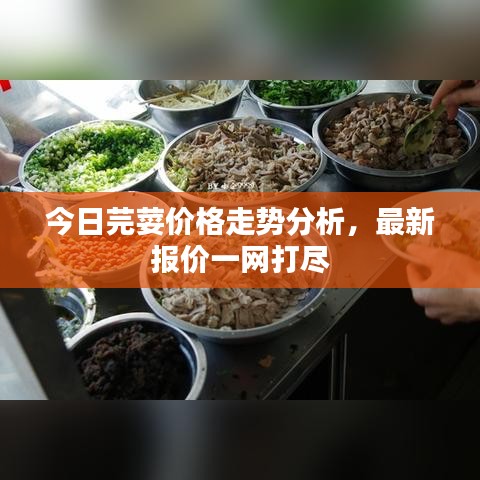 今日芫荽价格走势分析，最新报价一网打尽