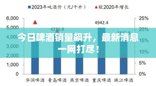 今日啤酒销量飙升，最新消息一网打尽！