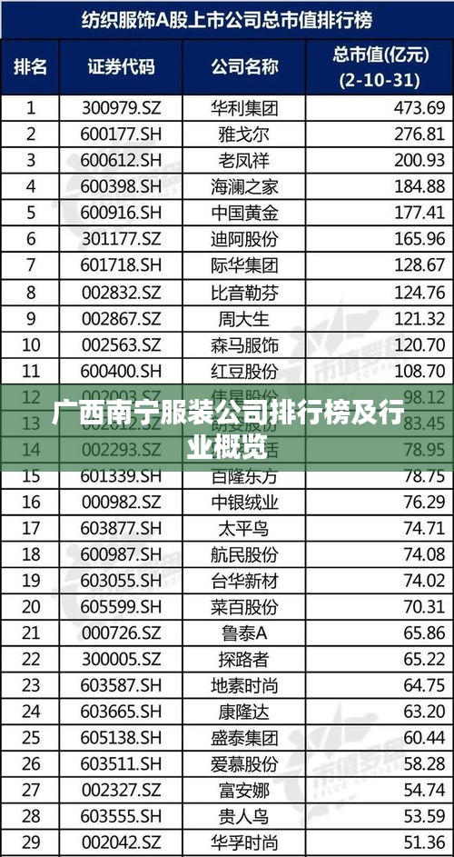 广西南宁服装公司排行榜及行业概览