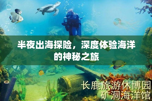 半夜出海探险，深度体验海洋的神秘之旅