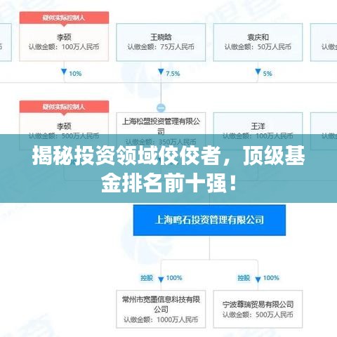 揭秘投资领域佼佼者，顶级基金排名前十强！