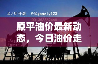 原平油价最新动态，今日油价走势及消息速递