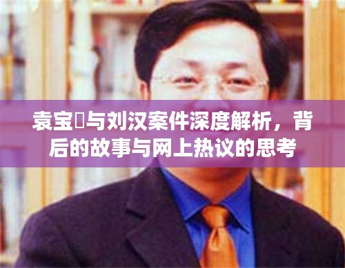 袁宝璟与刘汉案件深度解析，背后的故事与网上热议的思考