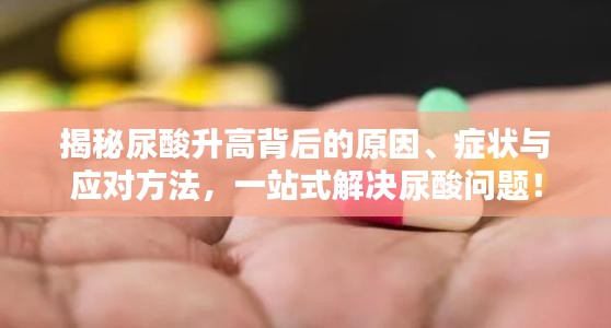 揭秘尿酸升高背后的原因、症状与应对方法，一站式解决尿酸问题！