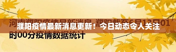 濮阳疫情最新消息更新！今日动态令人关注