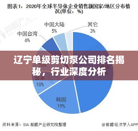 辽宁单级剪切泵公司排名揭秘，行业深度分析